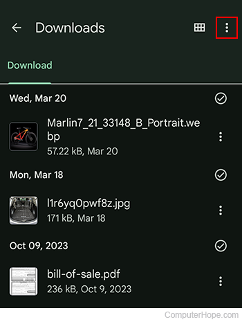Kebab menu in the Downloads folder on Android.